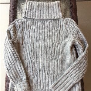 Banana Republic Chunky Turtleneck